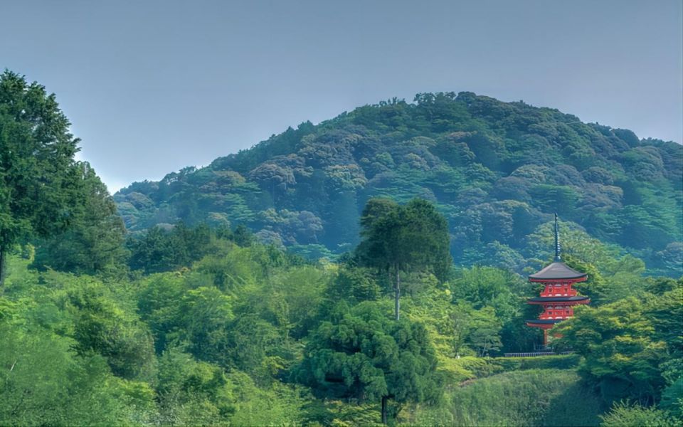 From Osaka: 10-hour Private Custom Tour to Kyoto - Customizable Itinerary and Highlights