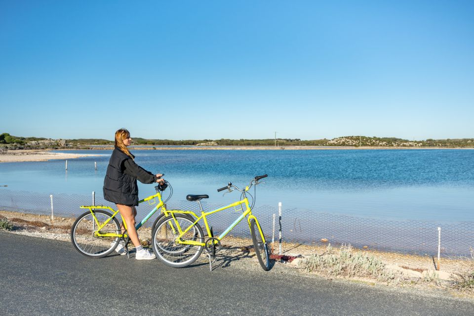 From Perth: Rottnest Island Full-Day Bike and Ferry Trip - Activity Details