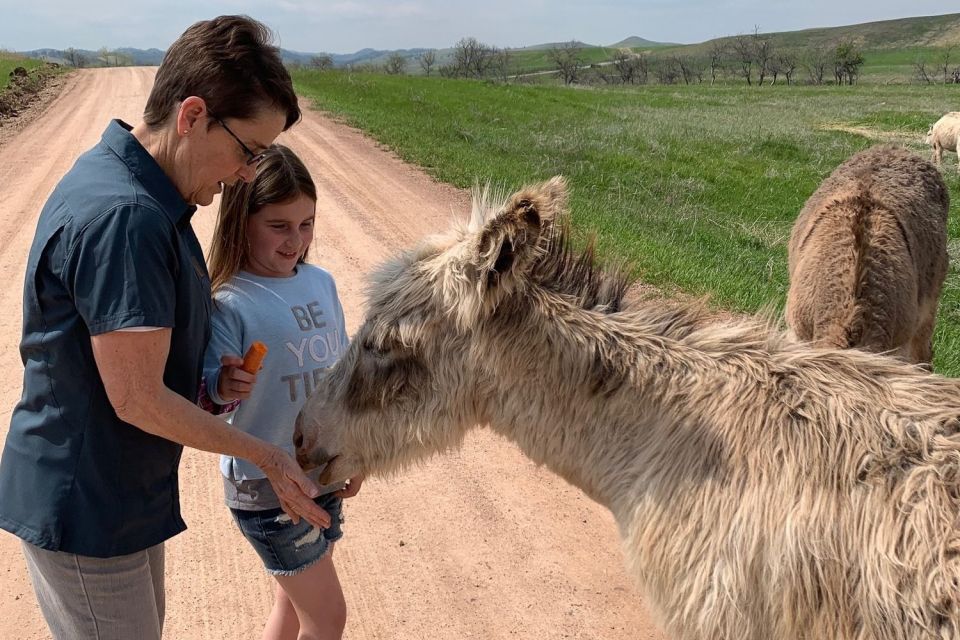 From Rapid City: Custer State Park Private Safari and Hiking - Wildlife Viewing Opportunities