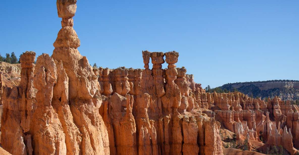 From Salt Lake City: Private Bryce Canyon National Park Tour - Tour Highlights