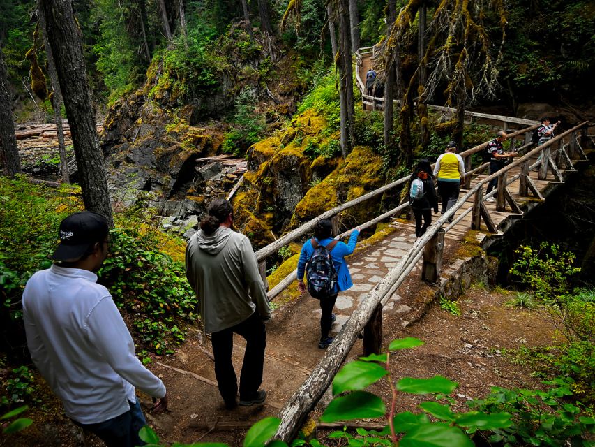 From Seattle: Mount Rainier Full-Day Tour - Transportation Amenities