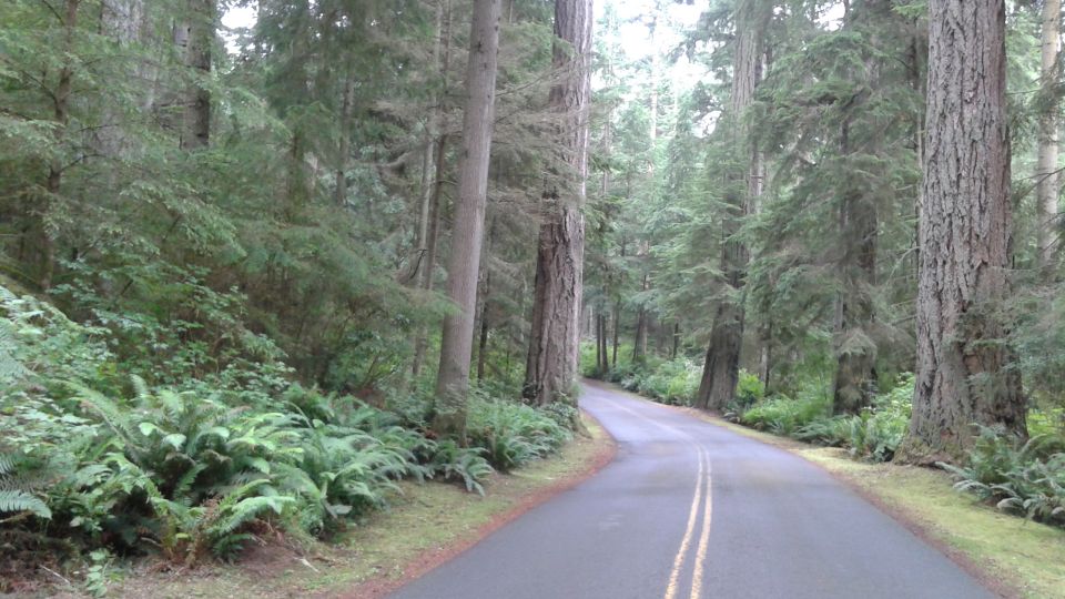 From Seattle: Whidbey Island and Deception Pass Private Tour - Exploring Pristine Island Beaches