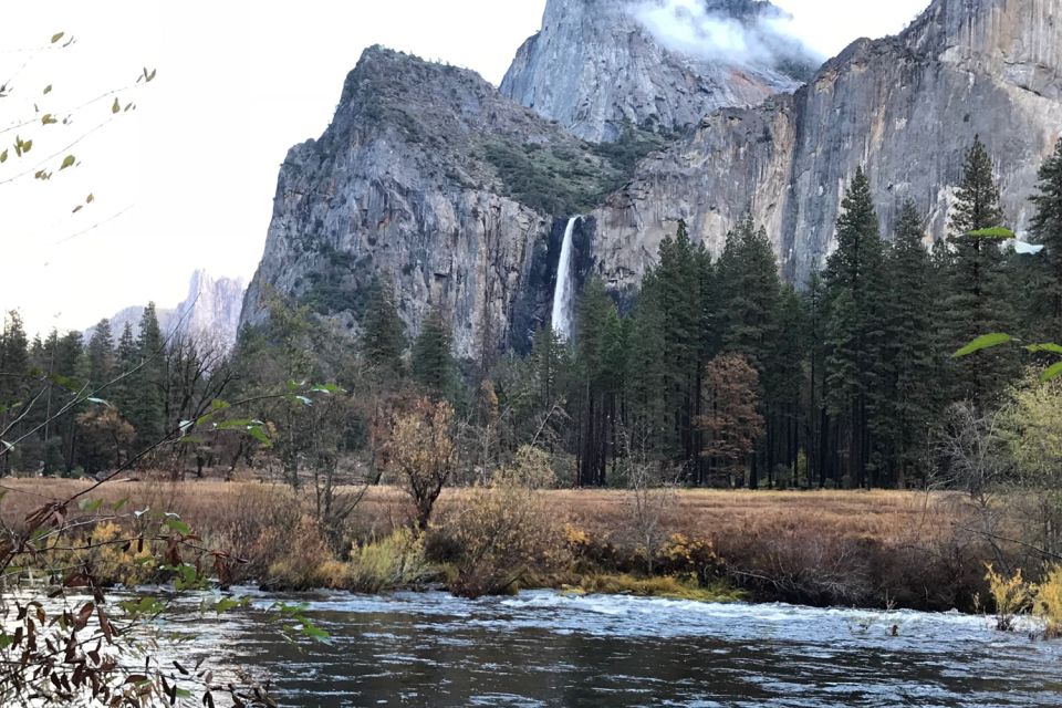 From Sf: Yosemite Day Trip With Giant Sequoias Hike & Pickup - Itinerary Highlights
