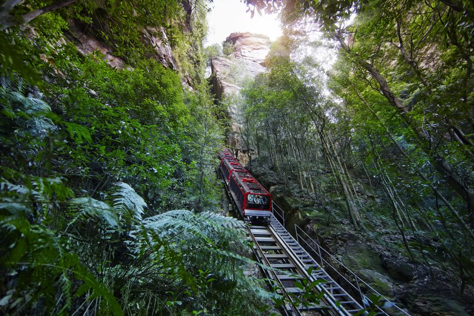 From Sydney: Blue Mountains, Scenic World All Inclusive Tour - Itinerary