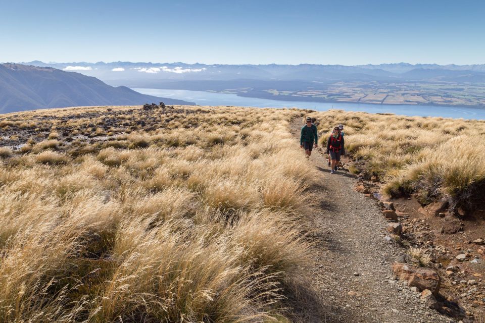 From Te Anau: Full Day Kepler Track Guided Heli-Hike - Pricing and Duration