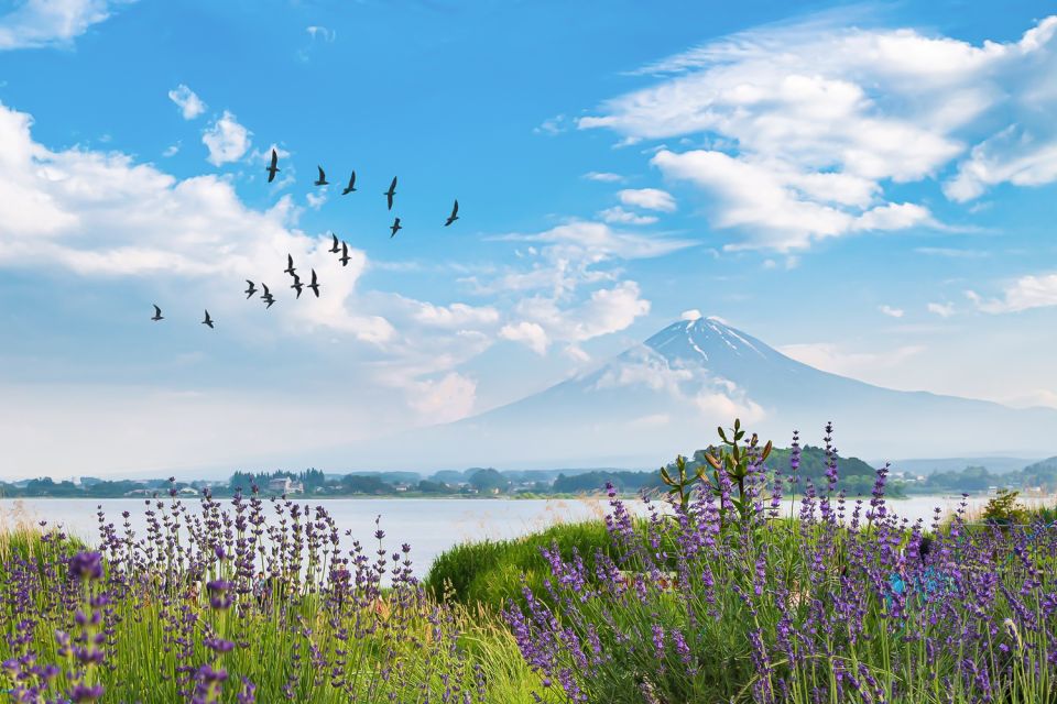 From Tokyo: 1-Day Private Mt. Fuji Tour by Car - Customizable Itinerary