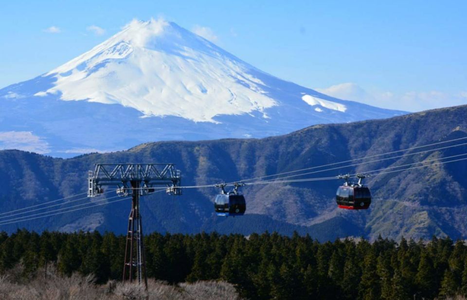 From Tokyo: 10-hour Hakone Private Custom Tour - Private Transportation and Convenience