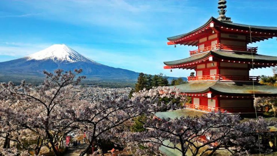 From Tokyo: Customizable Mount Fuji Full-Day Private Tour - Itinerary Highlights