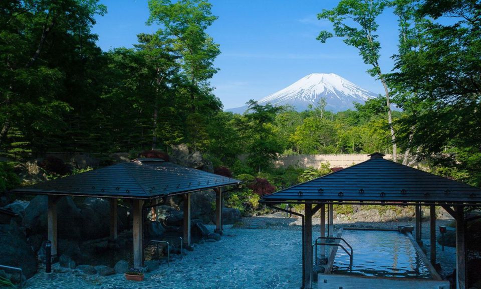 From Tokyo: Mount Fuji Day Trip With Yamanakako Hot Springs - Pickup Locations