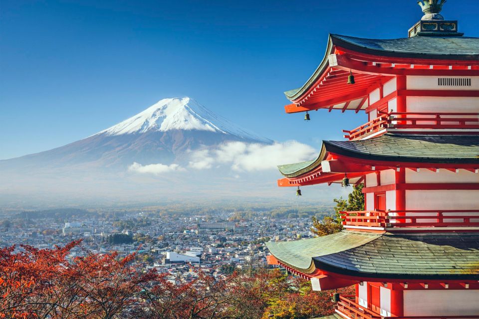 From Tokyo: Mt Fuji and Hakone Customizable Private Day Trip - Iconic Landmarks and Panoramic Views