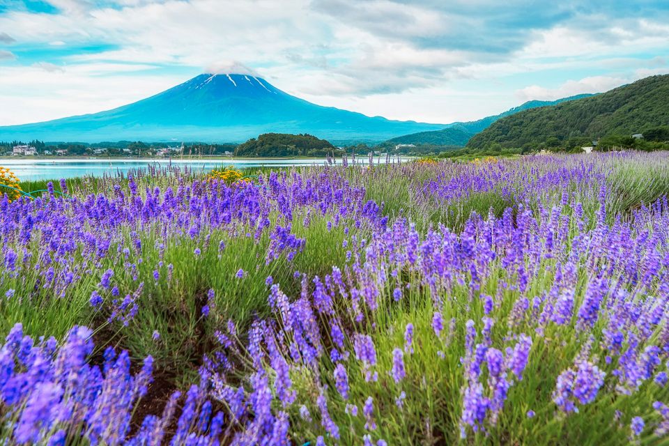 From Tokyo: Mt. Fuji Full-Day Sightseeing Trip - Itinerary