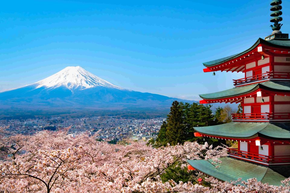 From Tokyo MT Fuji Fully Customize Tour With English Driver - Highlights of the Tour