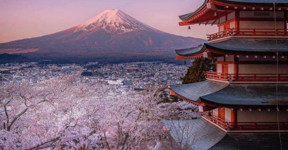 From Tokyo: MT Fuji Hakone Owakudani Valley Private Tour - Tour Itinerary