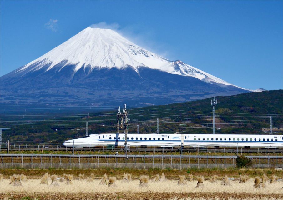 From Tokyo: Mt. Fuji & Hakone Tour W/ Return by Bullet Train - Highlights of the Day