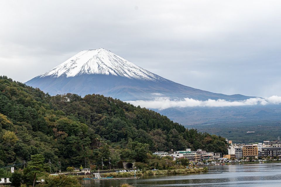 From Tokyo: Private Scenic Day Trip to Kawaguchi-Ko Lake - Views of Mount Fuji