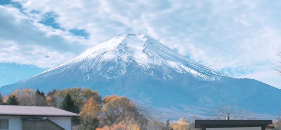 From Tokyo: Private Sightseeing Tour to Mount Fuji & Hakone - Arakurayama Sengen Park
