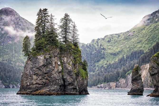 Full-Day Kenai Fjords National Park Cruise - Inclusions and Features