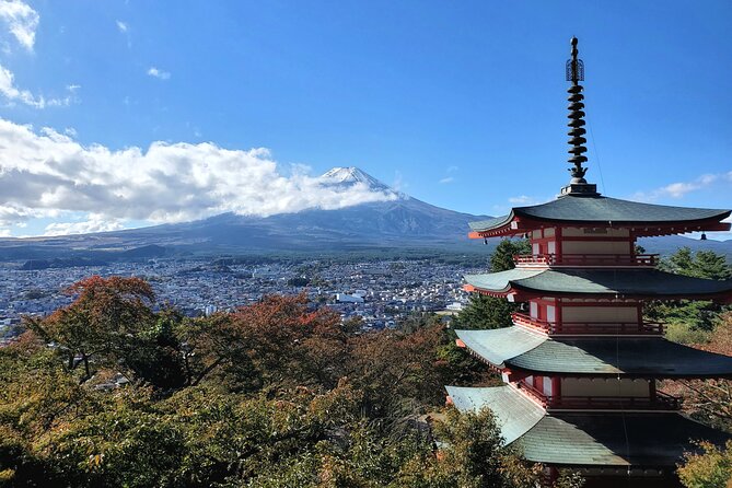 Full Day Mount Fuji Private Tour With English Speaking Guide - Whats Included