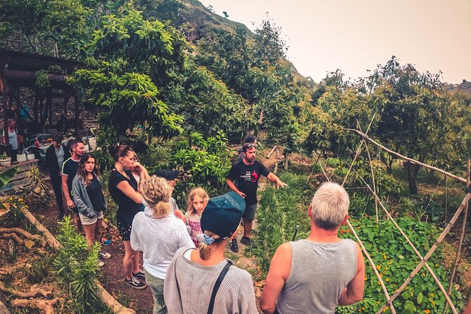 Full Day Rainforest Tour With Tasting and Swimming Time - Group Size and Safety