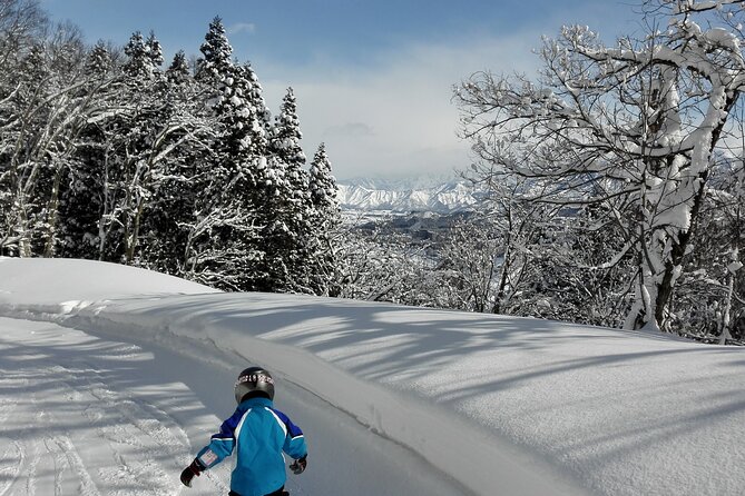 Full Day Ski Lesson (6 Hours) in Yuzawa, Japan - Lesson Details