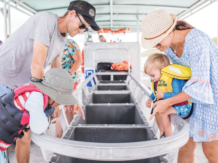 Gold Coast: Tangalooma Marine Discovery Day Cruise Transfers - Cancellation Policy