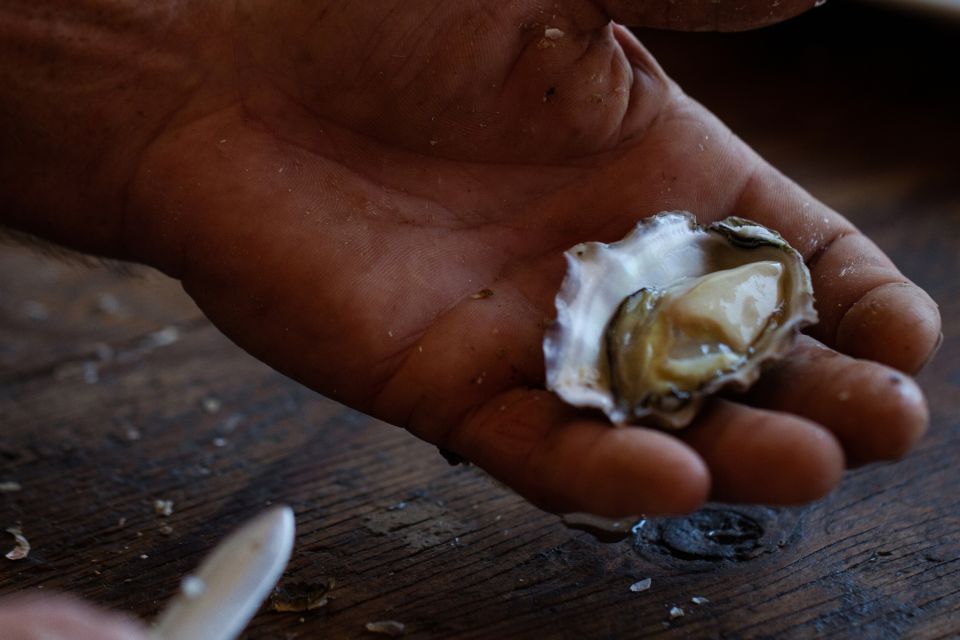 Guided Oyster Tasting - Pricing and Duration