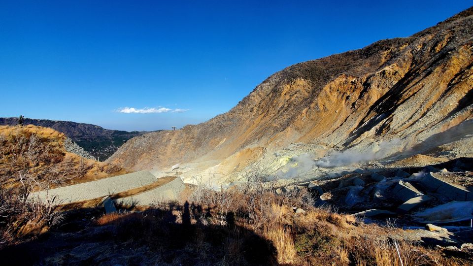 Hakone: Full Day Private Tour With English Guide - Picturesque Lake Ashinoko and Mount Fuji