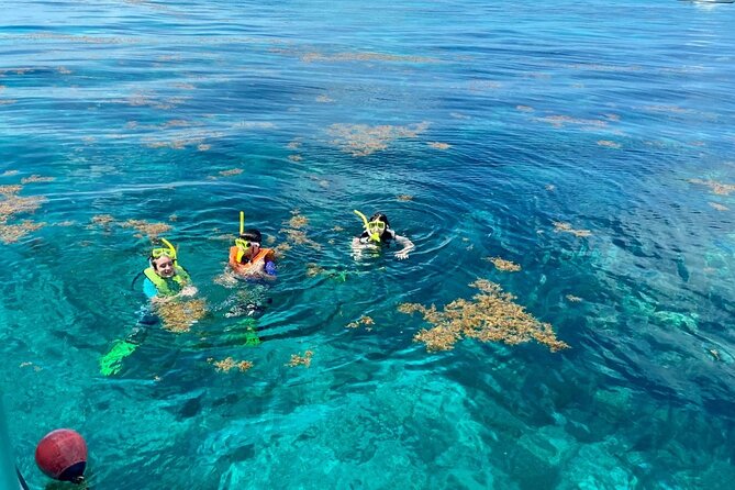 Half Day Snorkel Trip on Reefs in the Florida Keys - Snorkeling Locations