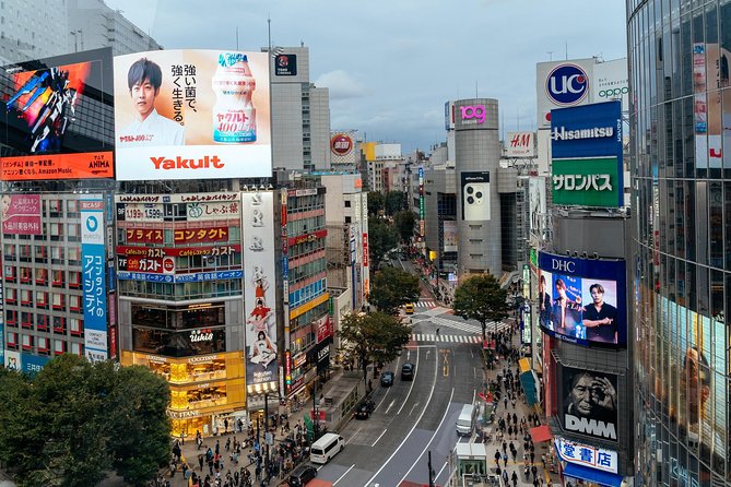 Highlights & Hidden Gems of the Shibuya District Private Tour - Exploring Tokyos Highlights