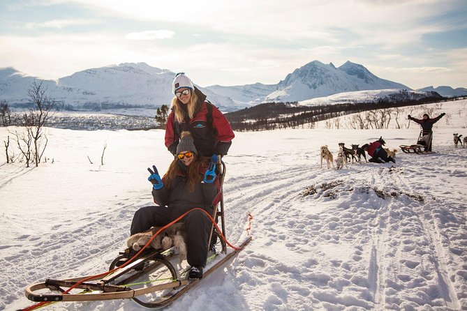 Husky Sledding Self-Drive Adventure in Tromso - Enjoy Personalized Small-Group Attention