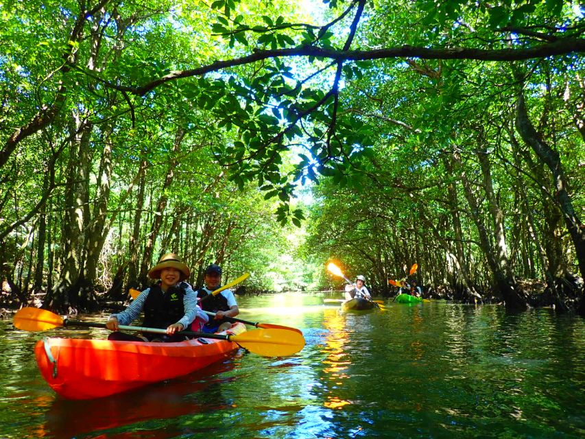 Iriomote Island: Kayaking and Canyoning Tour - Kayaking Through Mangrove River