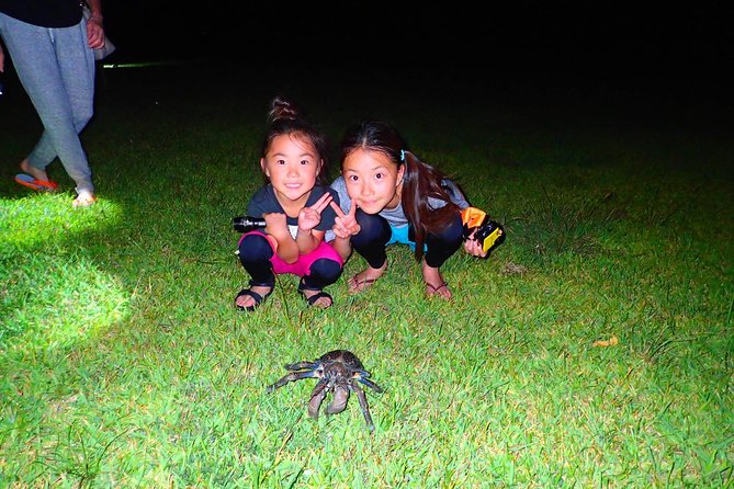 Iriomote Island, Okinawa Night Adventure Tour - Whats Included