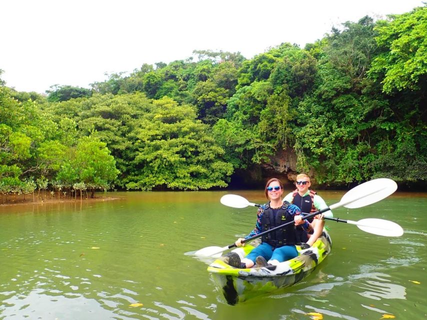 Ishigaki Island: 2-Hour Miyara River Kayaking Tour - Highlights of the Kayaking Adventure