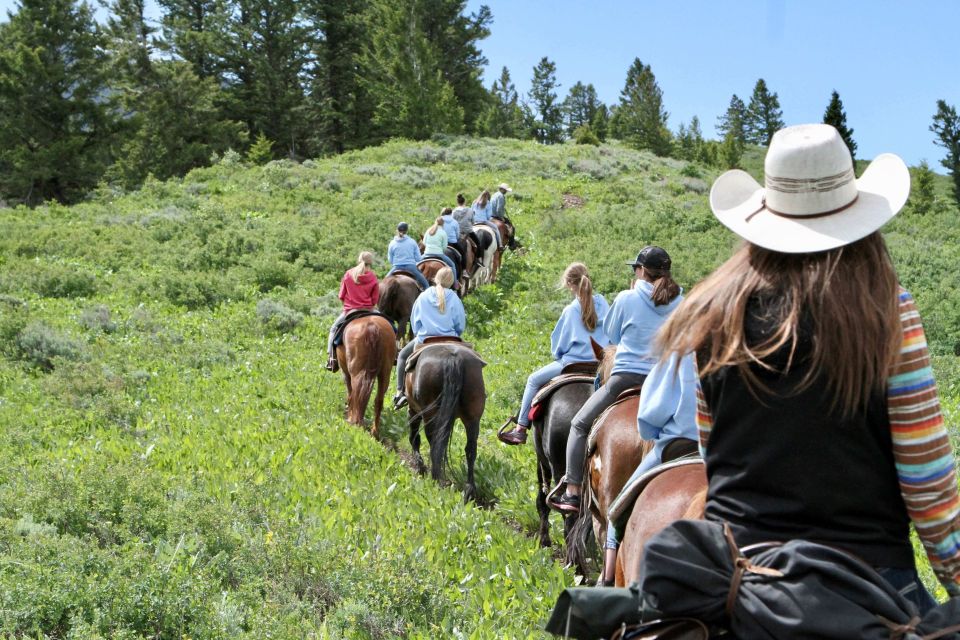 Jackson Hole: Teton View Guided Horseback Ride With Lunch - Trail Ride Description