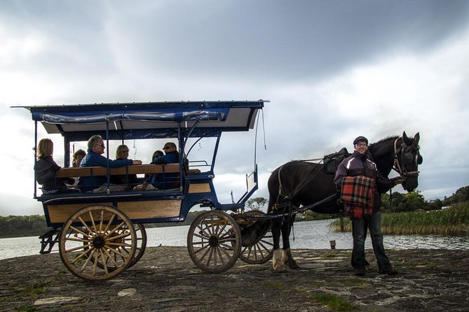 Jaunting Car Tour to Ross Castle From Killarney - Inclusions and Exclusions