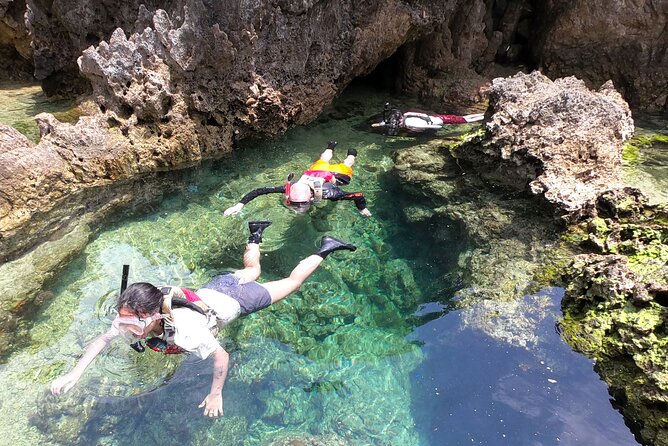 Kayak & Snorkel: Private Tour in Yanbaru, North Okinawa - Meeting and Pickup Details