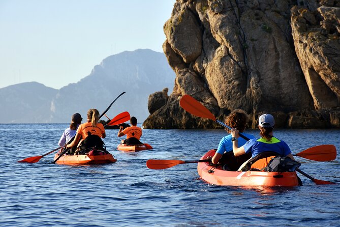 Kayak Tour With Aperitif and Dolphins - Additional Information