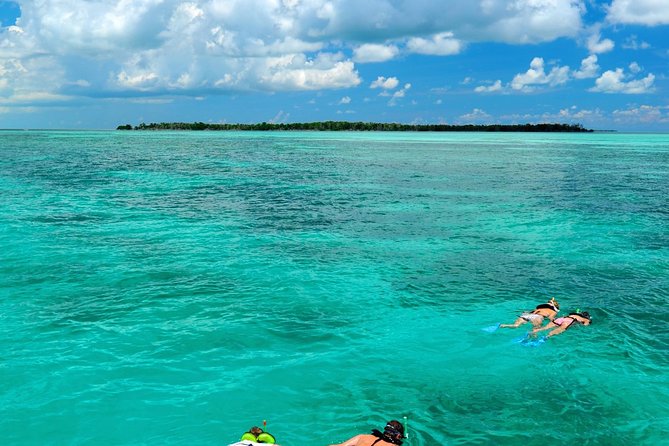 Key West Dolphin Watch and Snorkel Cruise - What To Expect