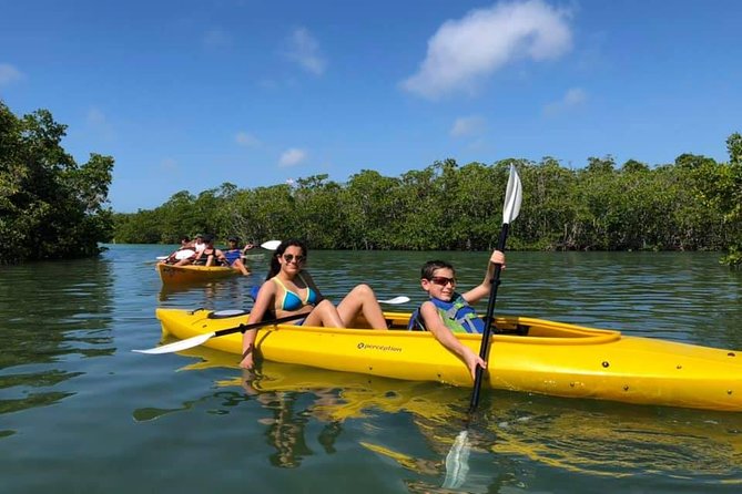 Key West Mangrove Kayak Eco Tour - Additional Info
