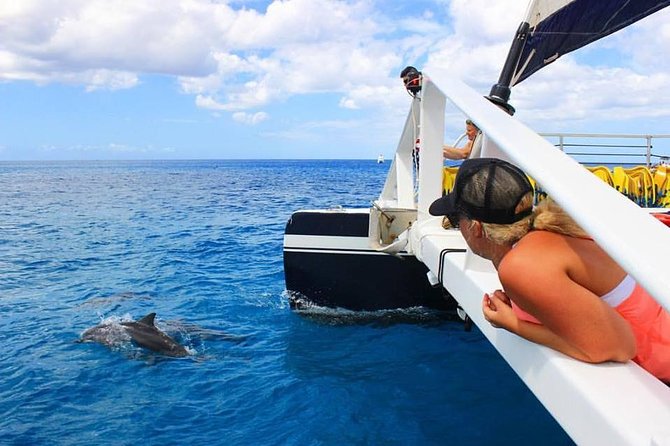 Ko Olina Catamaran Sail and Snorkel - Vessel Details