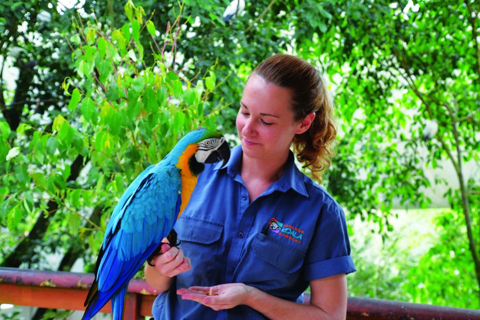 Kuranda: Friends in the Rainforest Koala Gardens & Birdworld - Experience Highlights