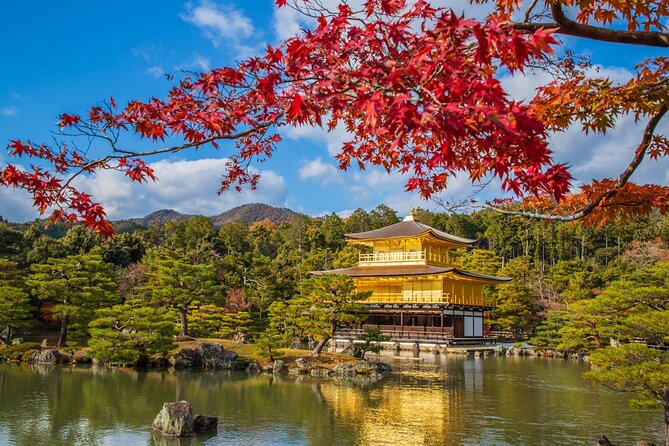Kyoto and Nara 1 Day Bus Tour - Inclusions