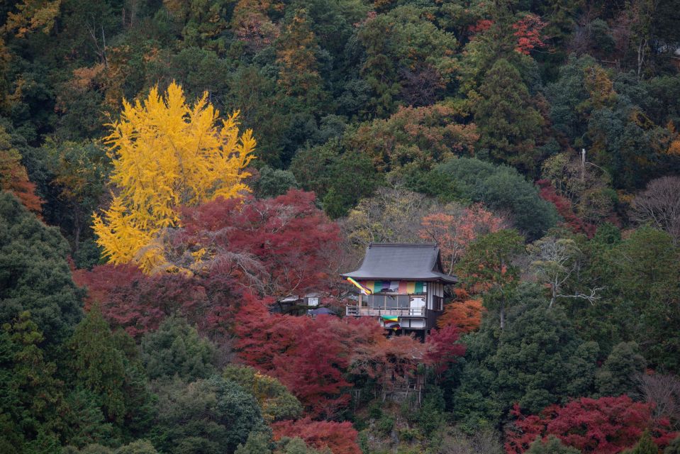 Kyoto: Arashiyama Forest Trek With Authentic Zen Experience - Itinerary and Destinations