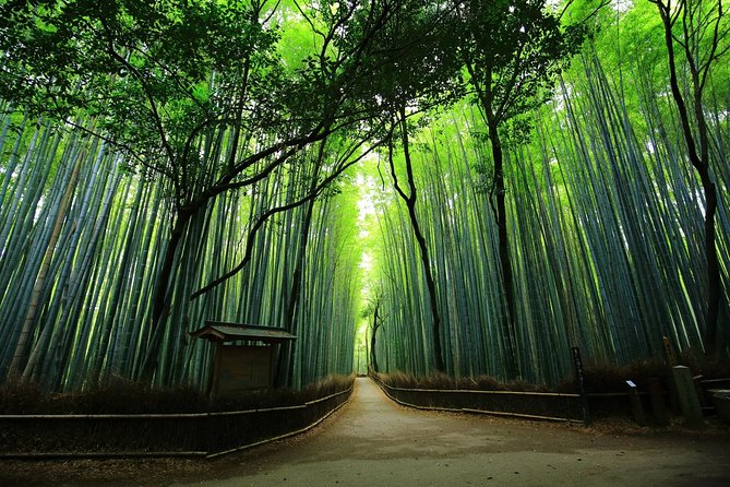 Kyoto Arashiyama & Sagano Bamboo Private Tour With Government-Licensed Guide - Inclusions and Exclusions