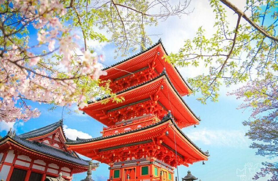 Kyoto/Osaka: Kyoto and Nara UNESCO Sites & History Day Trip - Optional Activities