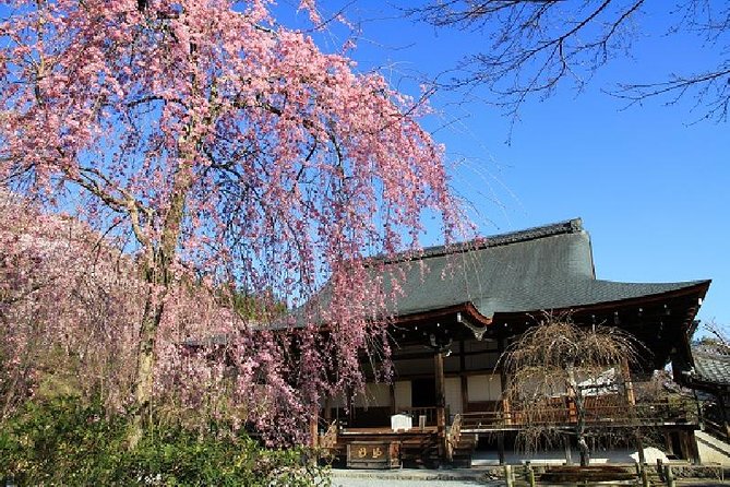 Kyoto Sagano Bamboo Grove & Arashiyama Walking Tour - Scenic Sagano and Arashiyama