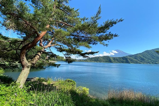 Lake Kawaguchiko Bike Tour - Scenic Countryside Exploration