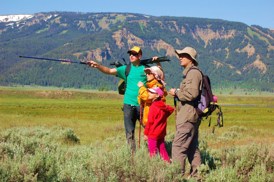 Lamar Valley: Safari Hiking Tour With Lunch - Included Activities and Gear