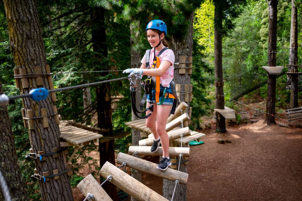 Launceston: Hollybank Tree Ropes Course - Booking Information