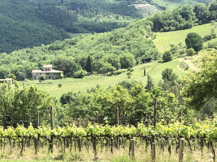 Lucca Private Day Tour to Chianti and San Gimignano - Highlights